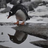 Mary Soden Photo 7