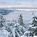 Russell Winters Photo 19