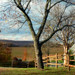 Janet Dickerson Photo 39