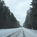 Emmet Robinson Photo 9