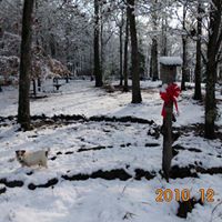 Brenda Horton Photo 19