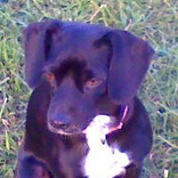 Constance Roberts Photo 30