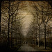 Christopher Rodgers Photo 46