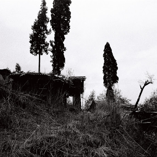 Cheng Peng Photo 28