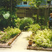 Janet Key Photo 20