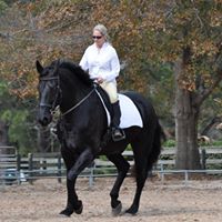 Renee Murphy Photo 35