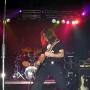 Tim Scholl Photo 14