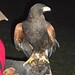 Maria Barraza Photo 7