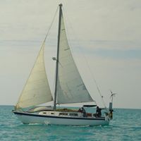 Dennis Clements Photo 36