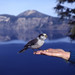Jay Lake Photo 2