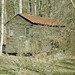 Dennis Mills Photo 36