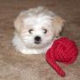 Judy Garrison Photo 25