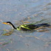 Bruce Reed Photo 31