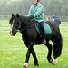 Shirley Handy Photo 21