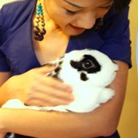 Debbie Wong Photo 9