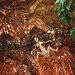 Stephen Ayers Photo 35