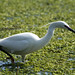 Stephen Elson Photo 12