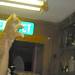 Carolyn Hunt Photo 13