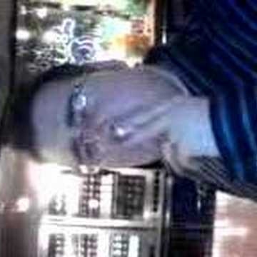 Steve Compton Photo 10