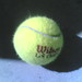 Terry Rhodes Photo 41
