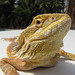 Jeffery Beard Photo 9