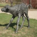 Regina Potter Photo 13