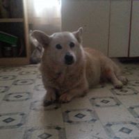 Brenda Staggs Photo 27