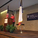 Nancy Roe Photo 10