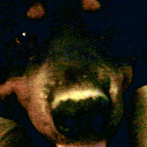 Brandy Crane Photo 3