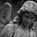 Angel Graves Photo 33