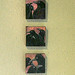 Renee Crow Photo 24