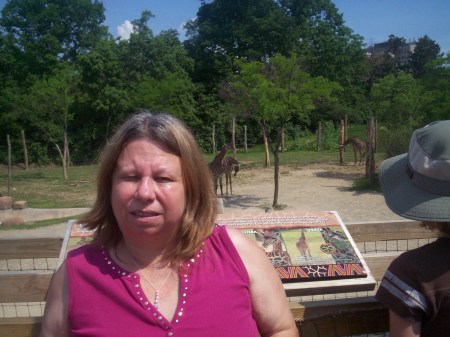 Debra Stone Photo 30