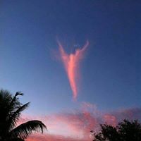Connie Laplant Photo 9