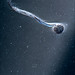 Gregory Peterson Photo 53