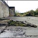 Billy House Photo 40