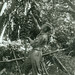 Edward Curran Photo 16