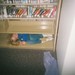 Kathryn Stack Photo 16