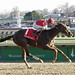 Jerry Golden Photo 38