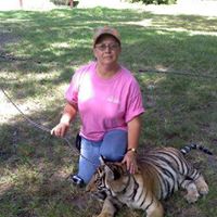 Kathy Stevens Photo 28