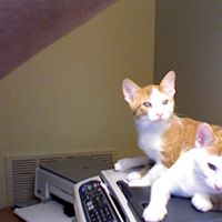Eric Snowden Photo 37