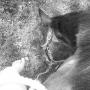 Debbie Shedd Photo 15