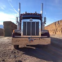 Mark Sorensen Photo 17