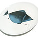 Martin Fish Photo 28