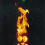 Jon Christiansen Photo 20