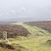 Heather Dyke Photo 16