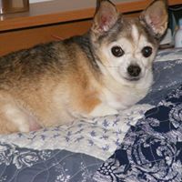Nancy Mccarty Photo 19