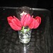 Jennifer Schaeffer Photo 9