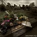 Ian Stone Photo 45