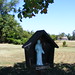 Francis Reed Photo 34