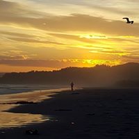 Tracy Rigney Photo 3